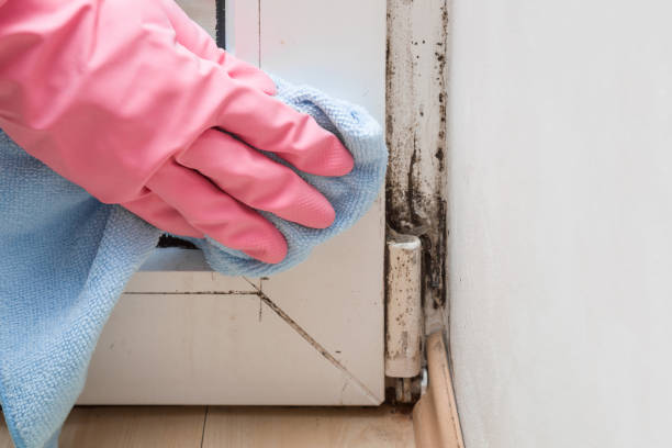 Water Damage Restoration in Fort Davis, TX